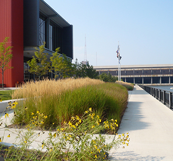 Planting outside production and processing building